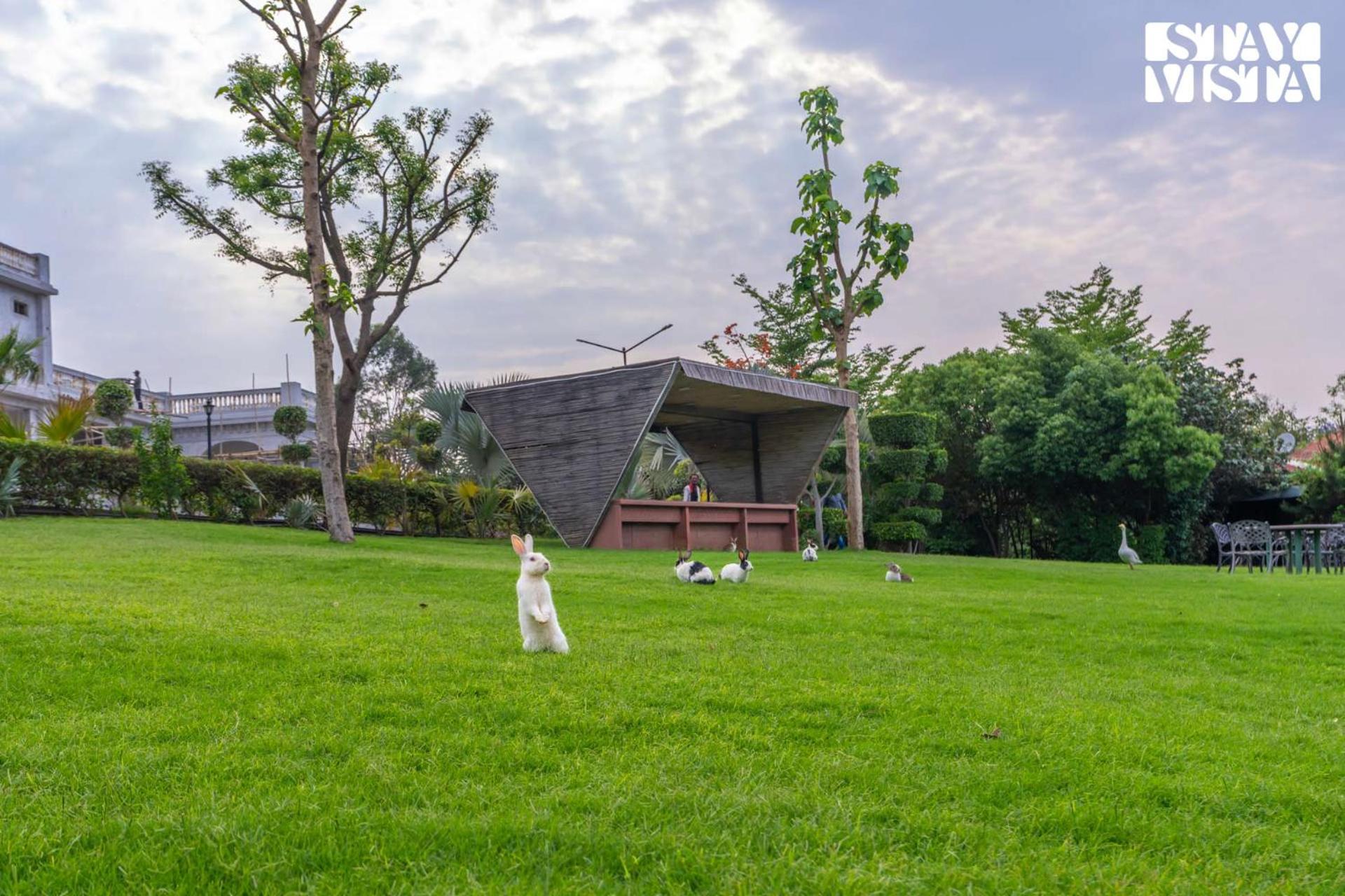 Stayvista At Maple Farms With Pool, Bbq & Bonfire Sohna 외부 사진